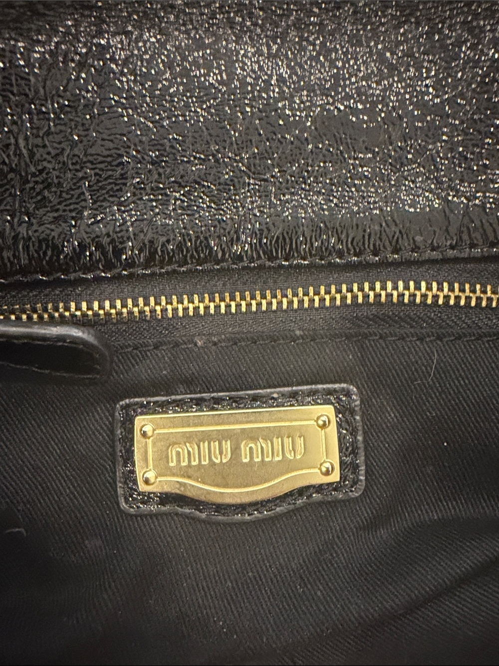 Miu Miu Green and Black Dragonfly Appliqué Leather Crossbody/Clutch - Picture 6 of 13